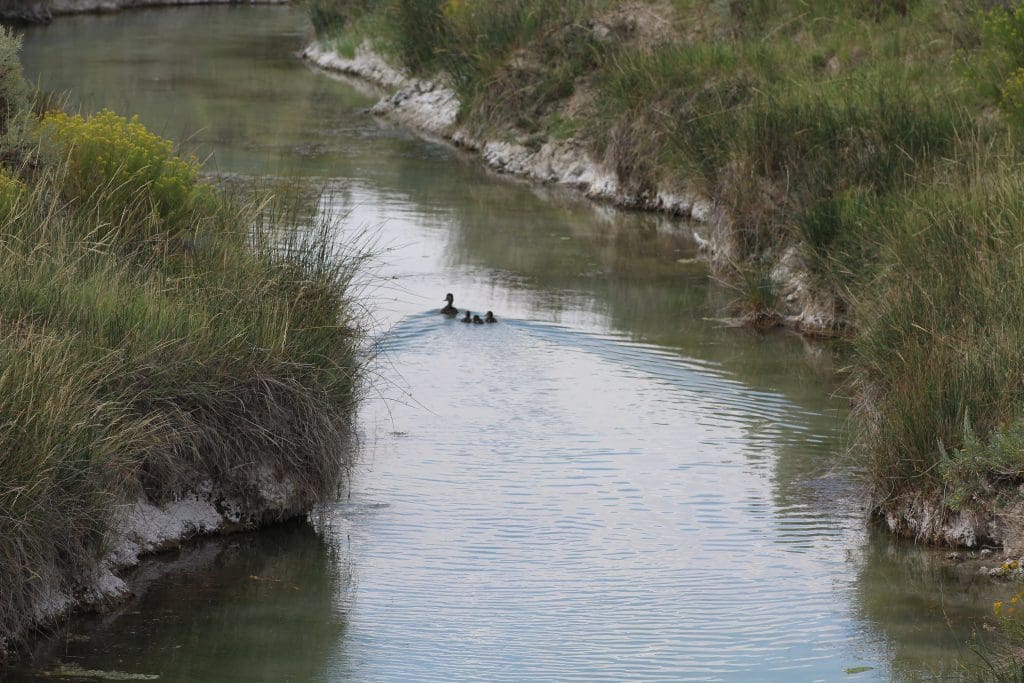 Wetlands Determination & Delineation from C&S environmental services to help determine and support Wetlands areas.